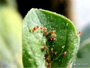 如何保持一帆风顺，如何保持一帆风顺