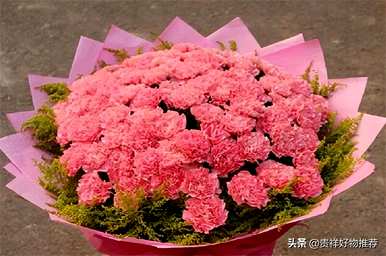 夏天盛开的花有哪些，夏天盛开的花有哪些花语？