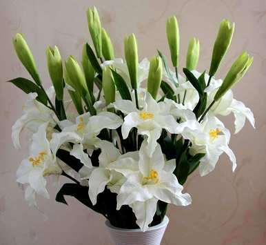 刚买的百合花怎么水养开花，百合花怎么养得最好？
