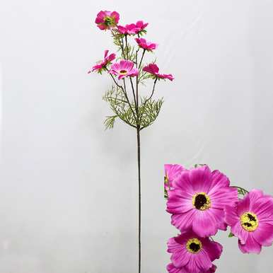 什么是大波斯菊花的花语，格桑花和波斯菊花的花语