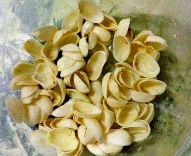 三角梅需要什么肥料最好，什么肥料是三角梅专用肥料？