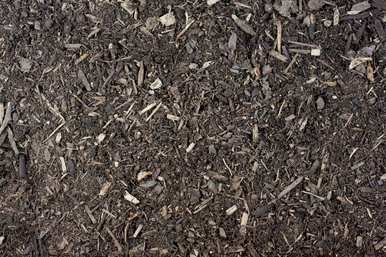 茶花树用什么土最好，香妃茶花用什么土？