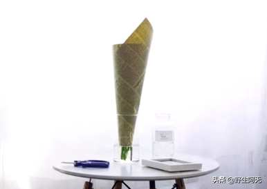 如何养洋牡丹插花瓶？