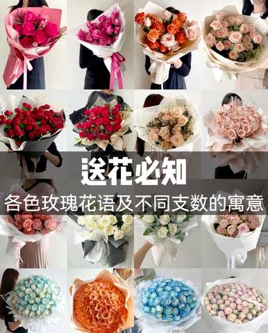 香槟粉玫瑰语和寓意，香槟玫瑰语送女朋友
