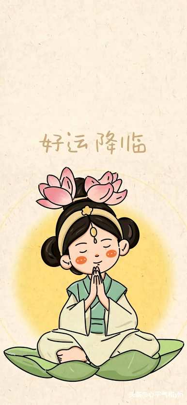 荷花翻译英语的象征意义是什么？荷花代表什么？