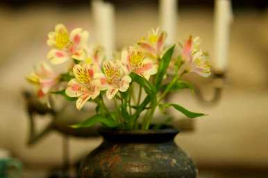 香水百合花语和寓意，香水百合花语的起源