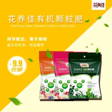 怎样才能养好金钱木，怎样才能养好金钱木？