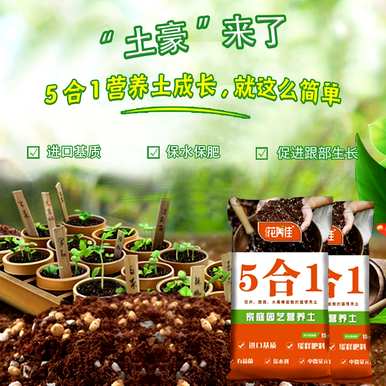 怎样才能养好金钱木，怎样才能养好金钱木？