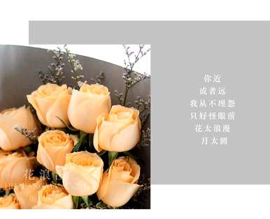 香槟玫瑰的花语代表什么意思，香槟玫瑰的花语代表什么？