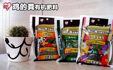 虎皮兰怎么长得高？