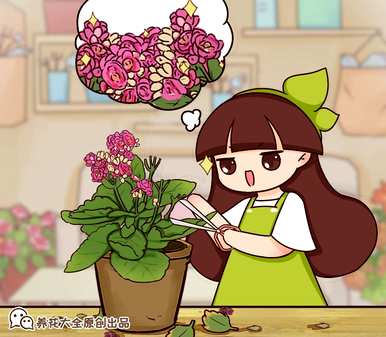 什么样的花在秋天开放，什么样的花在秋天开放