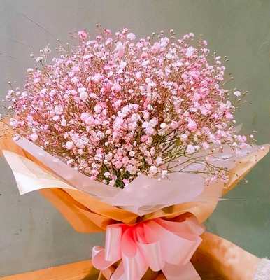 星花语象征着什么，星花语象征着什么