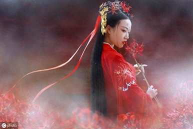 如何在家里种植彼岸花，如何种植彼岸花