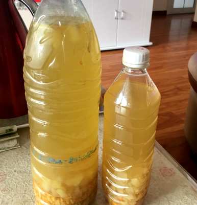 佛山花叶发黄的原因是什么？如何解决花叶发黄问题？