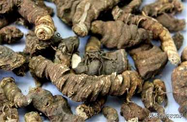 种植重楼用什么肥料最好，种植重楼需要什么条件？