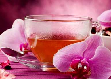 什么是兰花花语，什么是兰花花语？