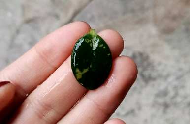 金鱼花和金鱼吊兰怎么养？