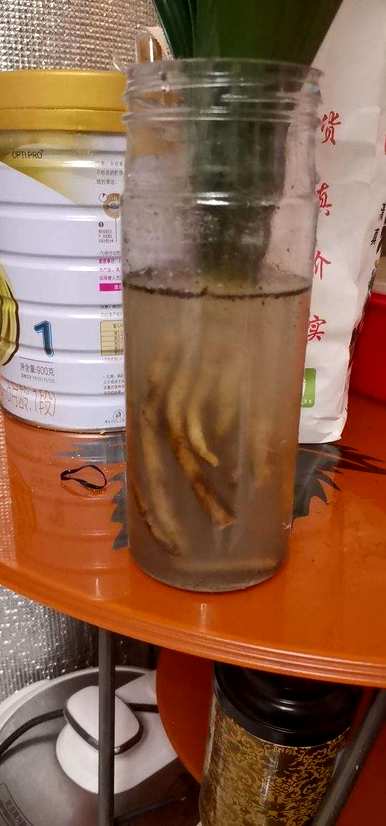 扦插繁殖的方法有哪些，扦插繁殖的方法有哪些？
