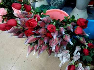 花束里的花怎么养，买的花束怎么养？