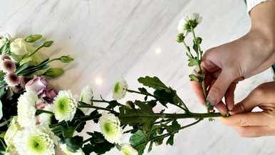 花束里的花怎么养，买的花束怎么养？