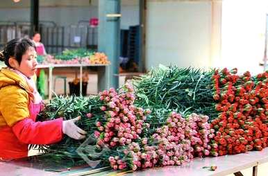 花束里的花怎么养，买的花束怎么养？