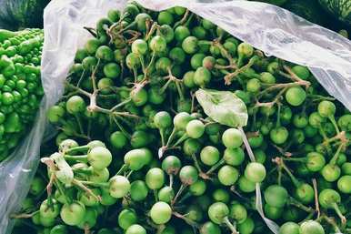 水茄能吃吗？水茄能用来煮水吗？
