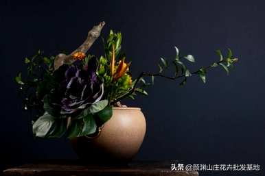 初学者如何学习插花，初学者插花教学