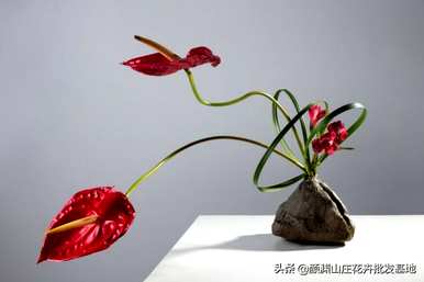 初学者如何学习插花，初学者插花教学
