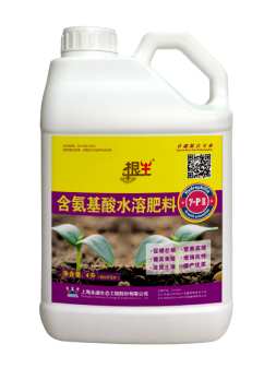 如何培育火龙果苗，常州火龙果苗培育基地