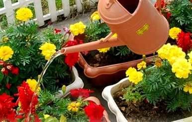 如何制作花肥营养土，营养土制作花肥