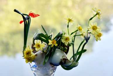 水仙花水培开花多久，水仙花开花多久？