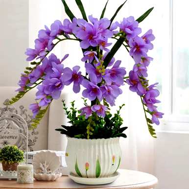 四月最灿烂的花是什么？四月最灿烂的花是什么？