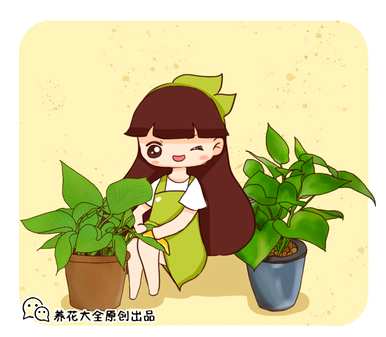 如何扦插绿萝柱必须放生根液？如何扦插绿萝柱？