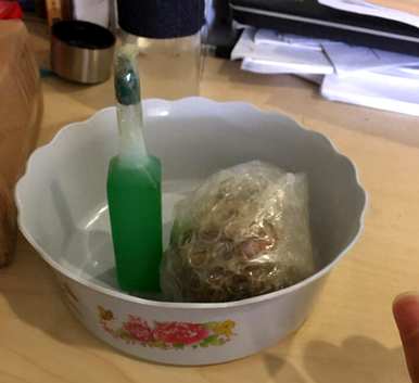 如何养水仙花种球，如何养最好的水仙花