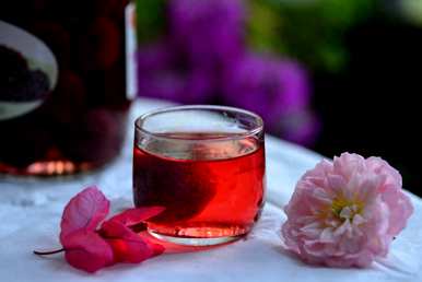 杨梅花什么时候开花，怎样让杨梅提前开花？