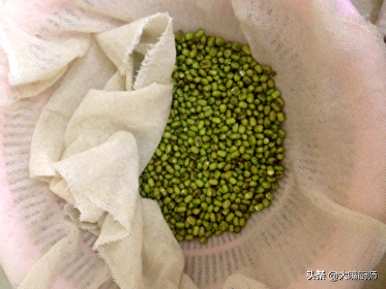 豆芽怎么发得最快最好？豆芽怎么发得快又粗？