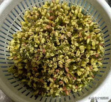 豆芽怎么发得最快最好？豆芽怎么发得快又粗？