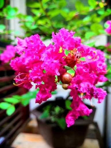 三月开花的季节是什么，三月开花的季节是什么