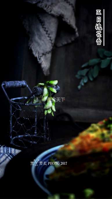 槐花榆钱开花时间，槐花榆钱在哪里开花早