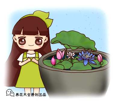 莲花种子种植方法，如何种植莲花