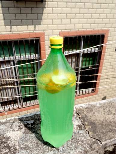 如何培育和管理花卉，肉质花卉的栽培和管理