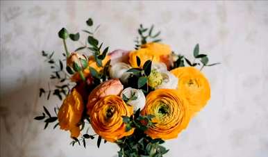 白牡丹的花语和寓意，牡丹的花语是什么意思？