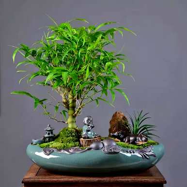 哪种竹子适合庭院种植，庭院种植竹子效果图