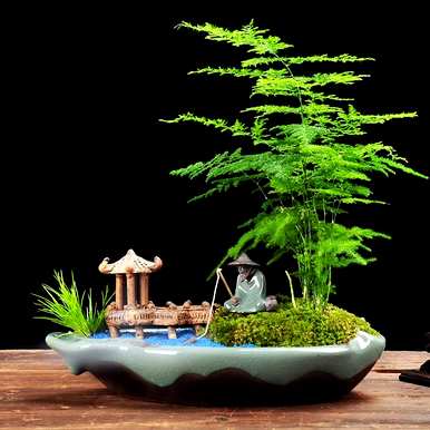 哪种竹子适合庭院种植，庭院种植竹子效果图