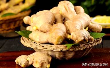 生姜种植技术齐全，生姜种植前景如何？