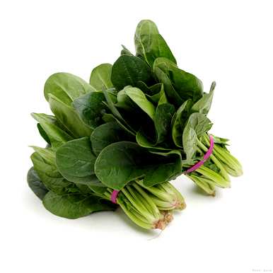 露地春菠菜什么时候种，菠菜什么时候种最合适