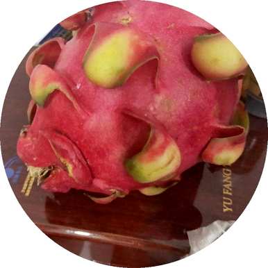 盆栽火龙果的种植方法是什么？盆栽火龙果最好的土壤是什么？
