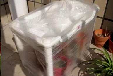 如何种植太阳花？玻璃瓶种植太阳花