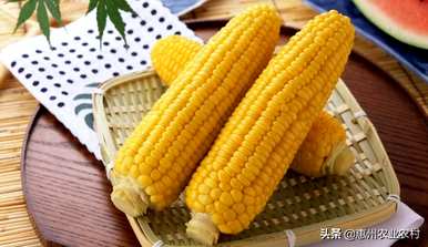 九月份可以种甜玉米吗？九月份可以种甜玉米吗？