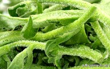 冰草扦插种植技术视频，冰草何时种植比较好